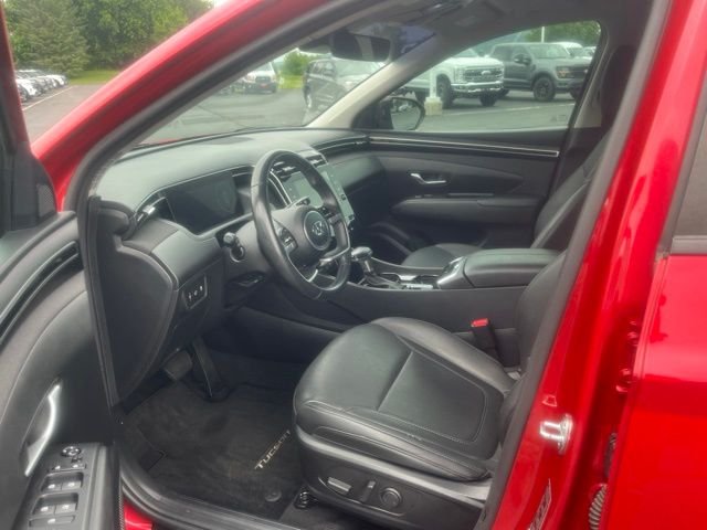 Certified Used 2023 Calypso Red Hyundai SEL image 8