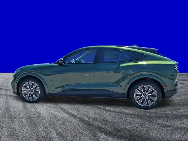 New 2026 Green Ford Premium image 6