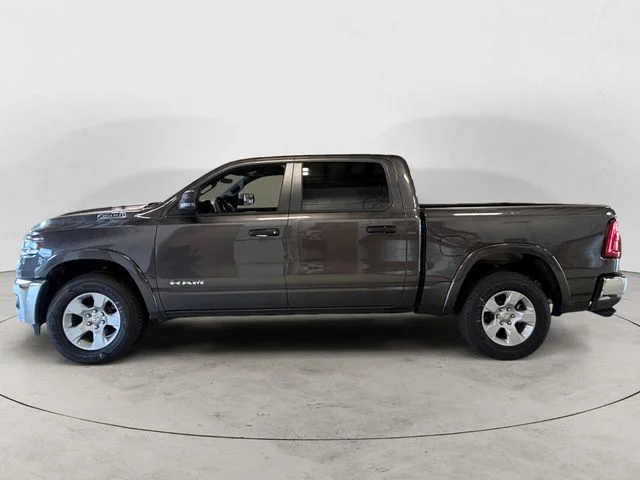 New 2026 Gray Ram Big Horn/Lone Star image 2