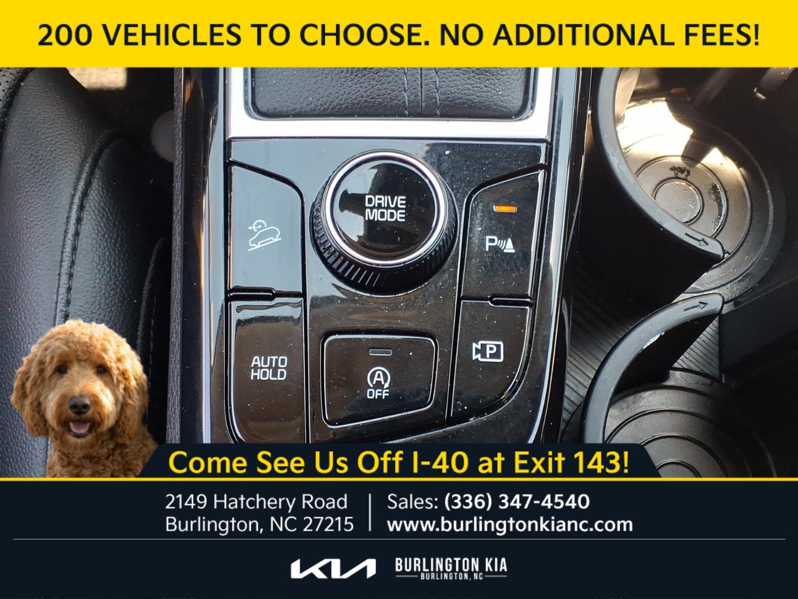 Certified Used 2024 Ebony Black Kia EX image 15