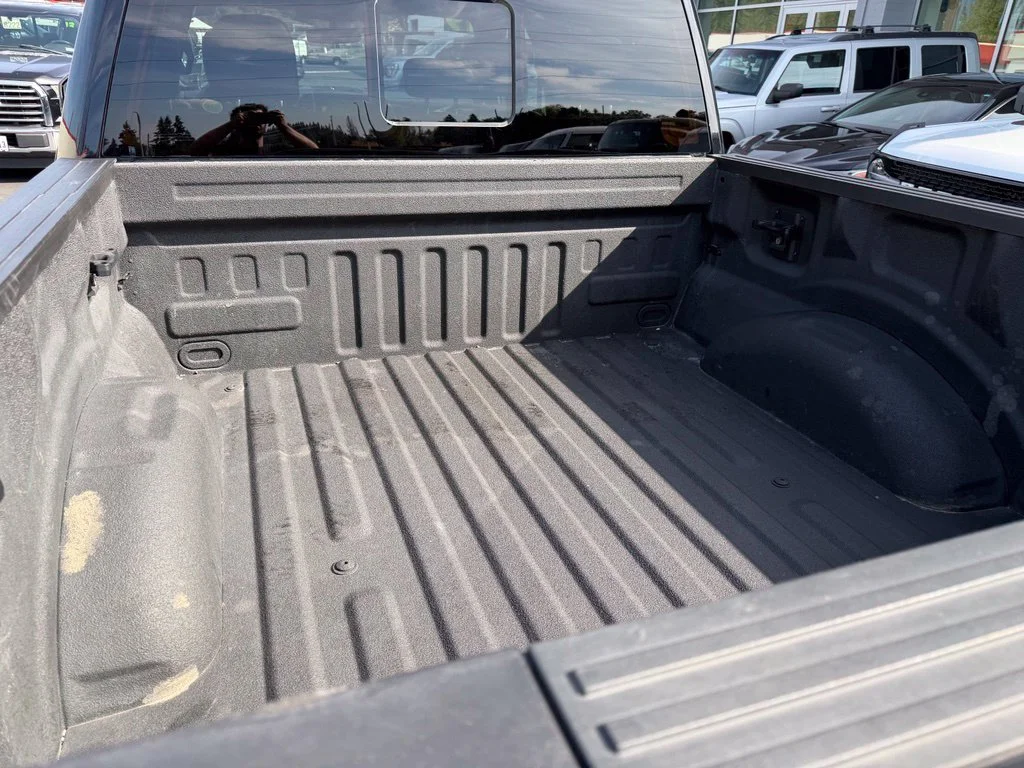 Used 2019 Agate Black Metallic Ford Platinum image 10