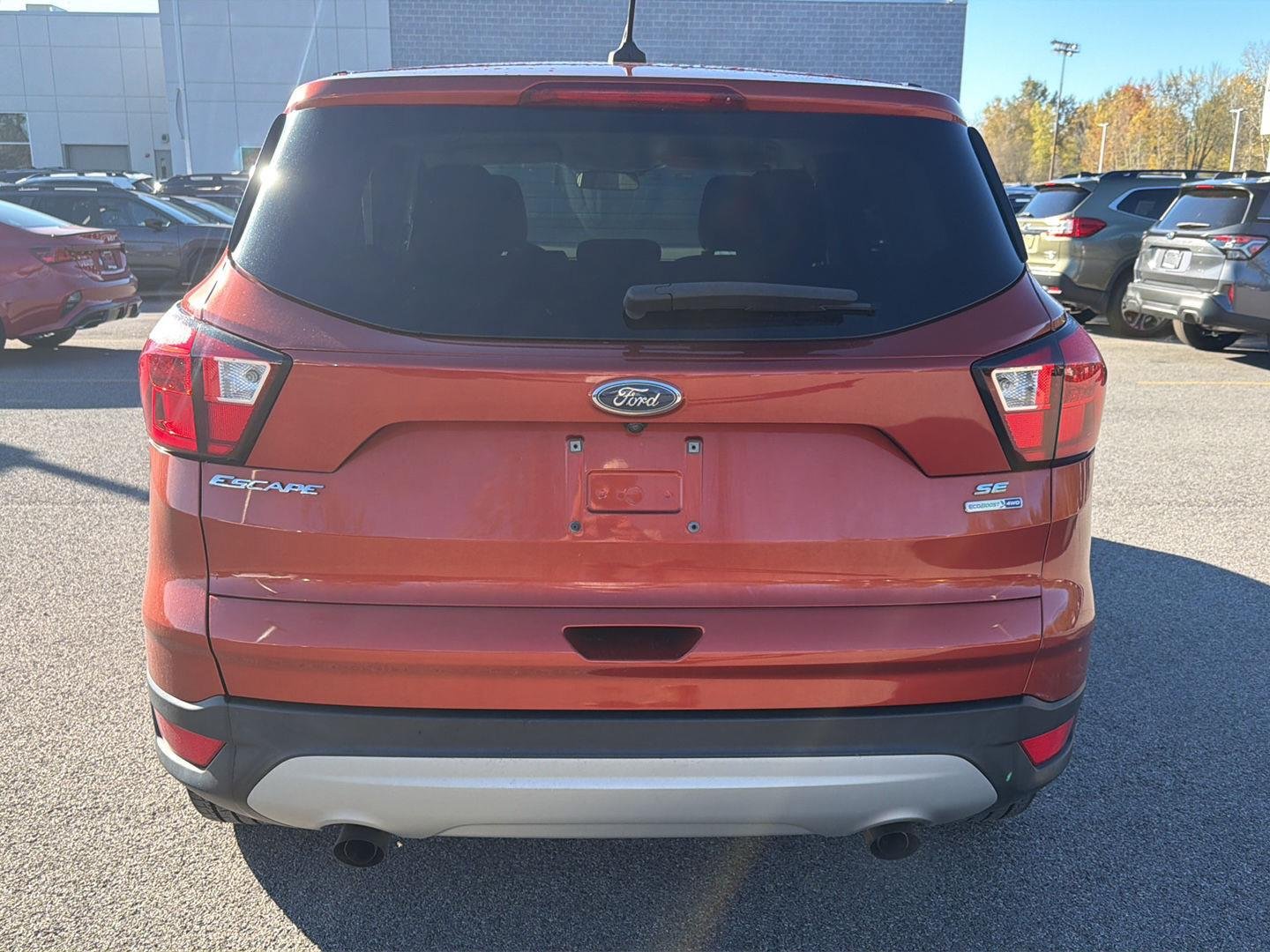 Used 2019 Sedona Orange Ford SE image 4