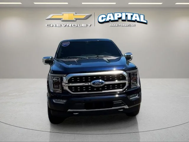 Used 2023 Blue Ford Platinum image 8