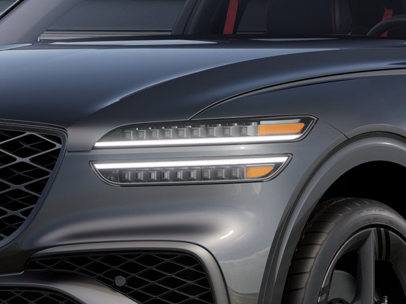 New 2027 Vik Black Genesis  image 25