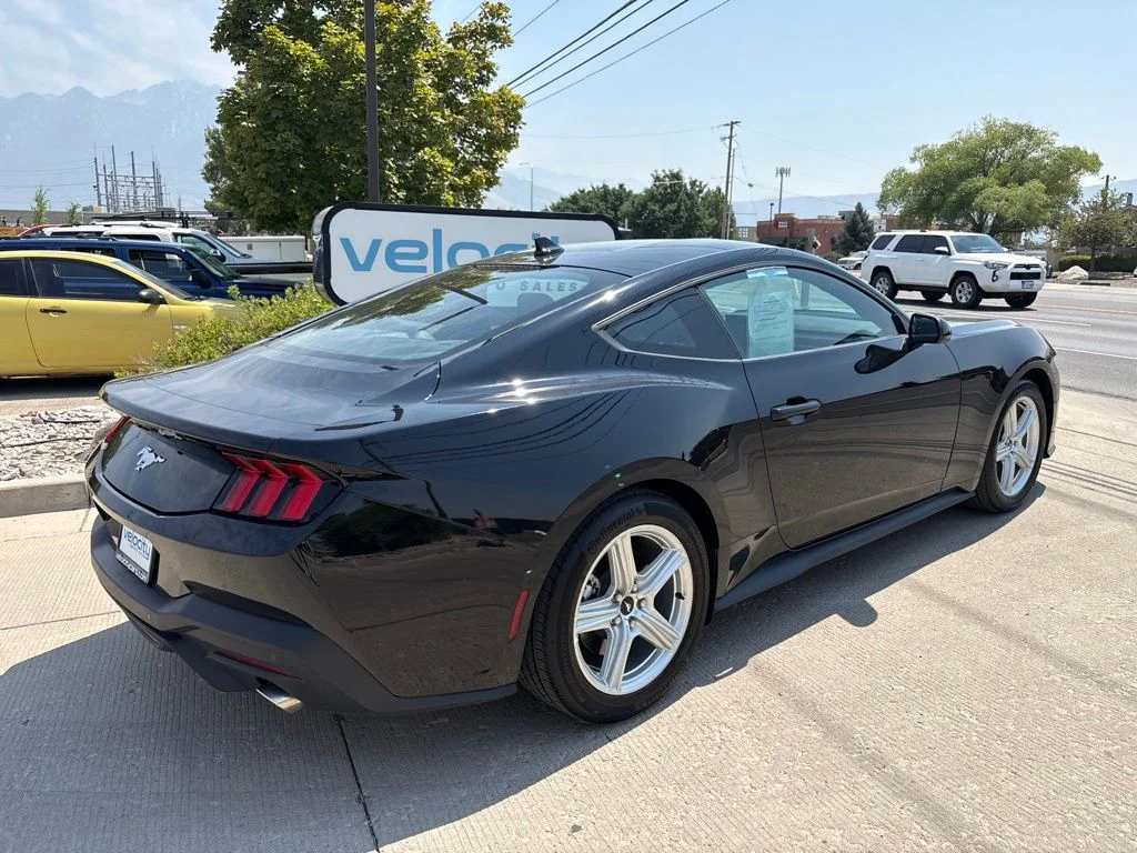 Used 2026 Black Ford EcoBoost Premium image 6