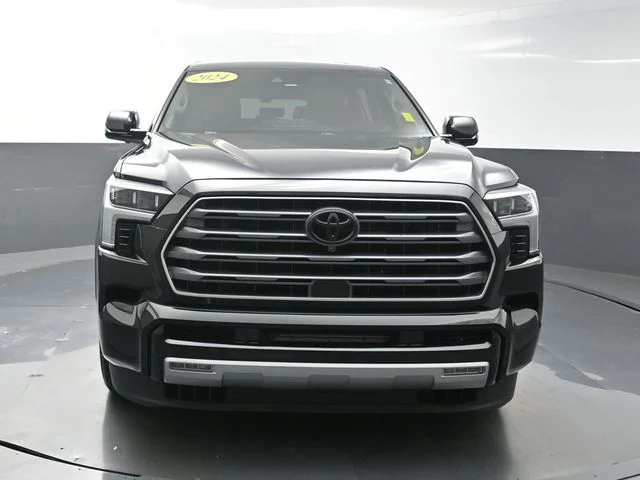 7SVAAAAA8RX002894