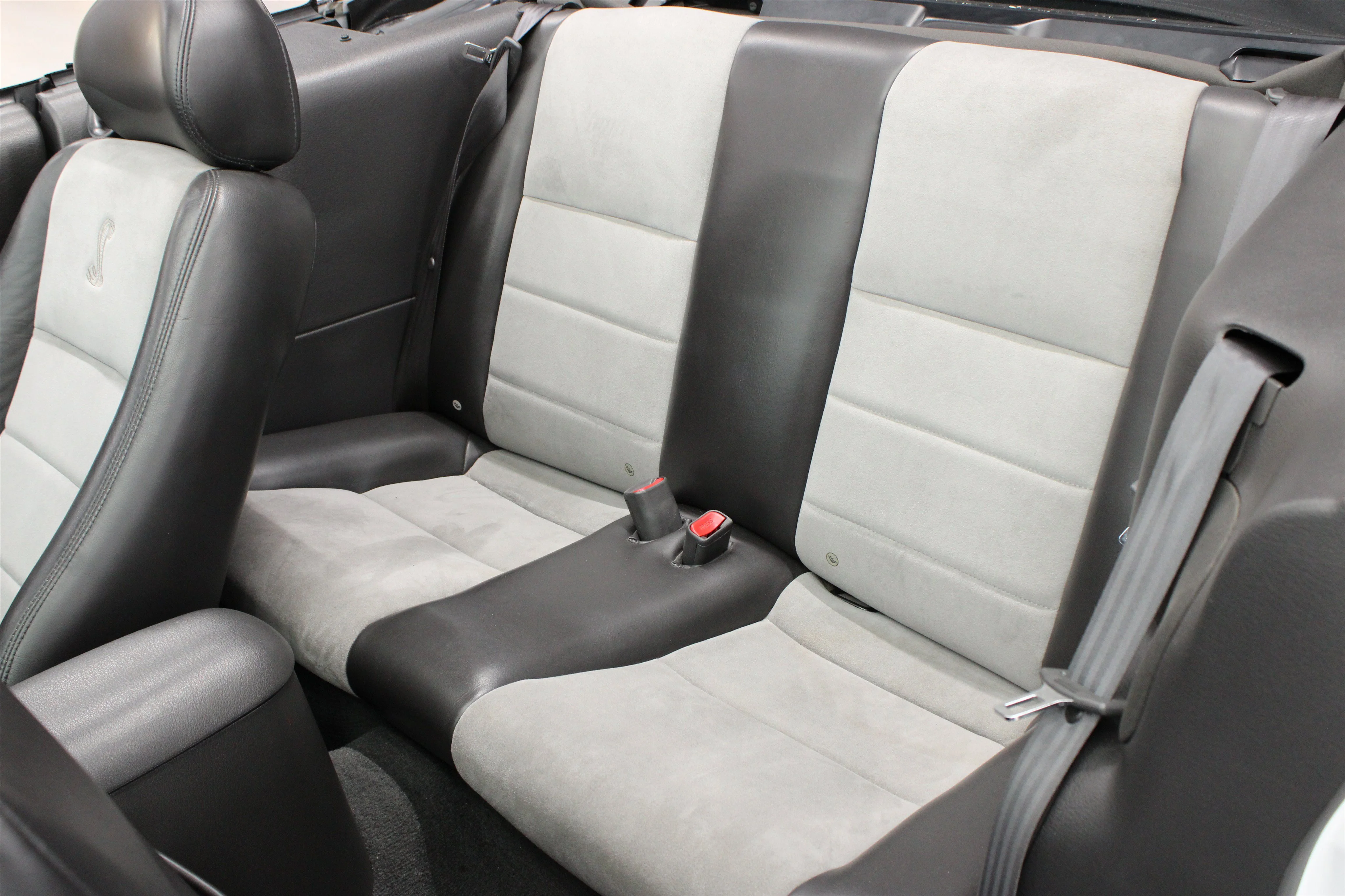2004 Ford Mustang Cobra SVT - Photo 17