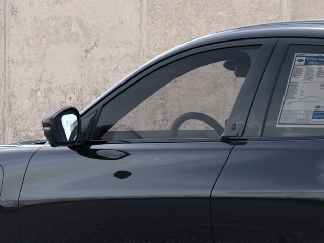 New 2026 Shadow Black Ford Premium image 20