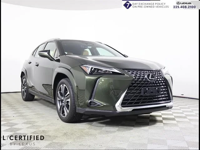 2025 Lexus UX 300h 300h Premium AWD's photo