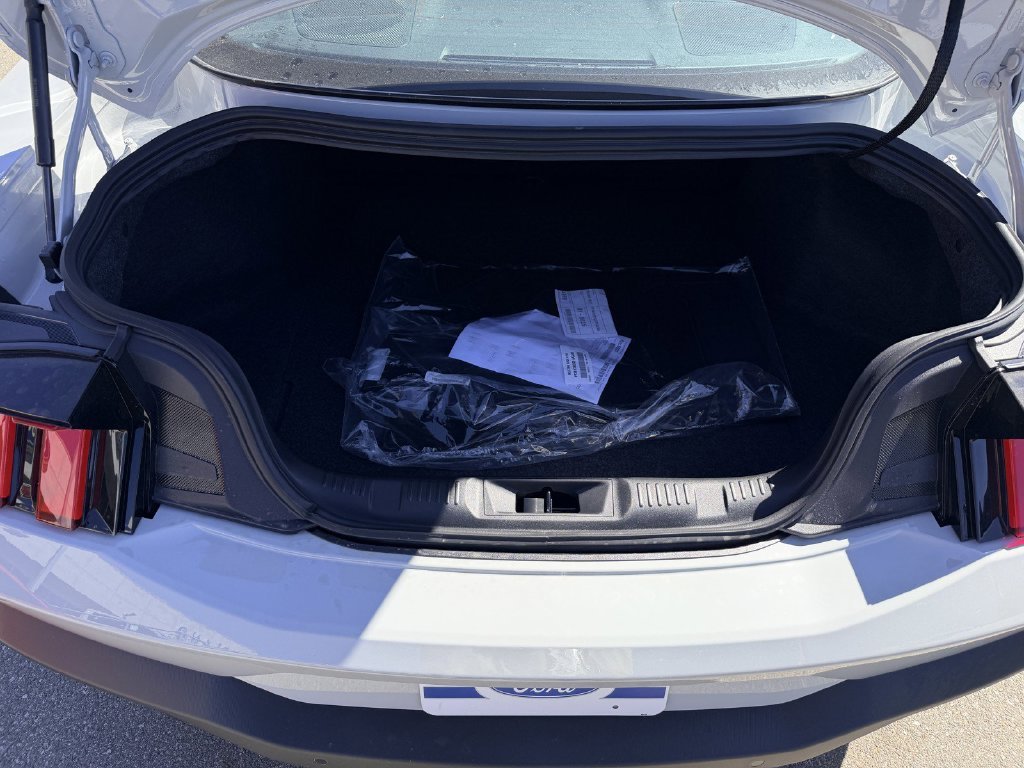 New 2026 Avalanche Gray Ford EcoBoost® Fastback image 13