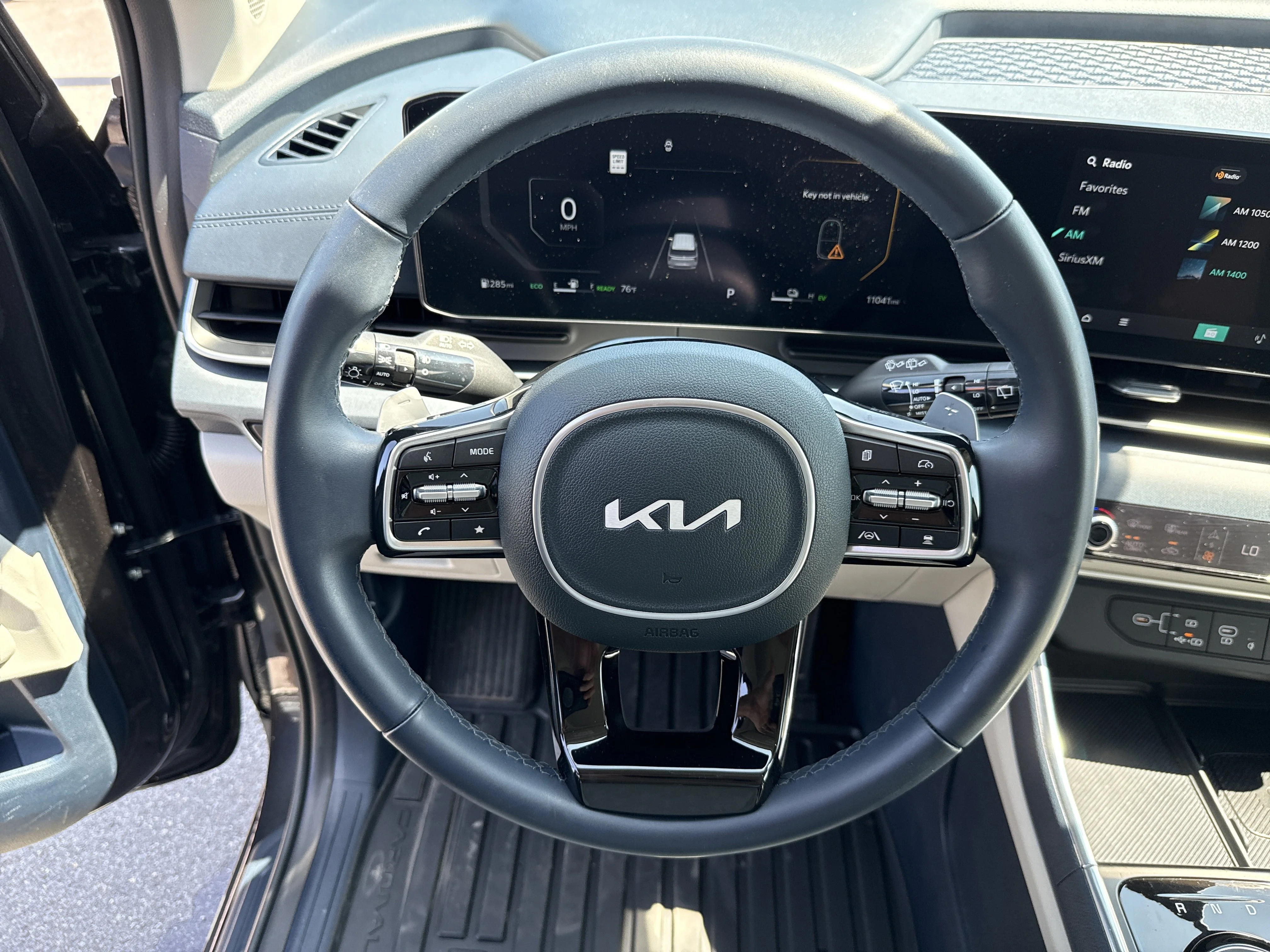 Used 2025 Panthera Metal Kia SX image 18