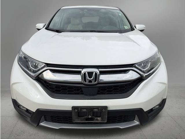 Used 2019 Platinum White Pearl Honda EX-L image 2