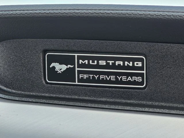 Used 2020 Magnetic Ford GT Premium image 26