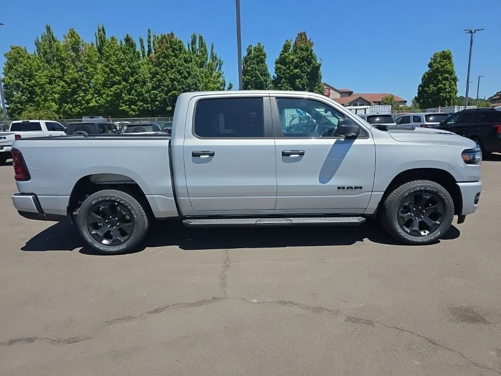 New 2026 Silver Zynith Exterior Paint RAM Express image 6