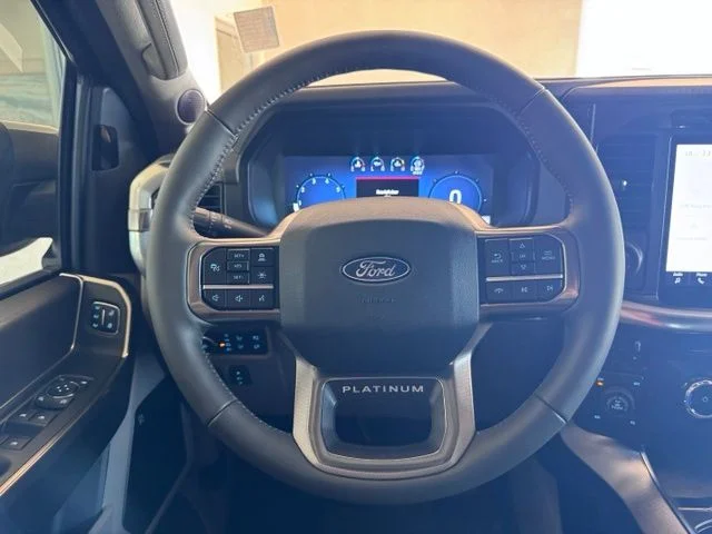New 2026 Gray Ford Platinum image 14