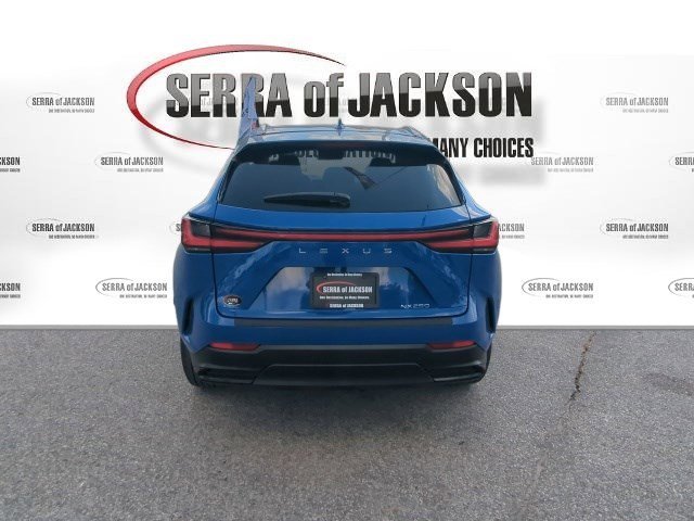 Used 2025 Grecian Water Lexus NX 250 image 8