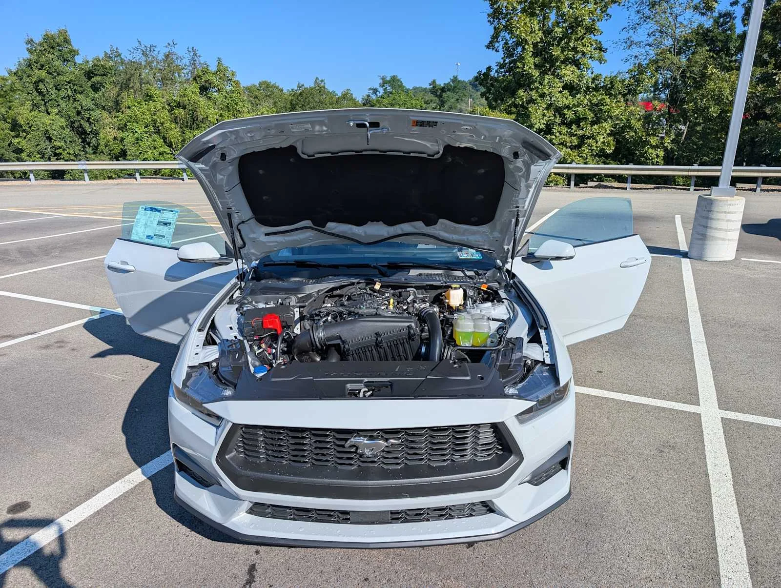 New 2026 Avalanche Gray Ford EcoBoost® Premium Fastback image 10
