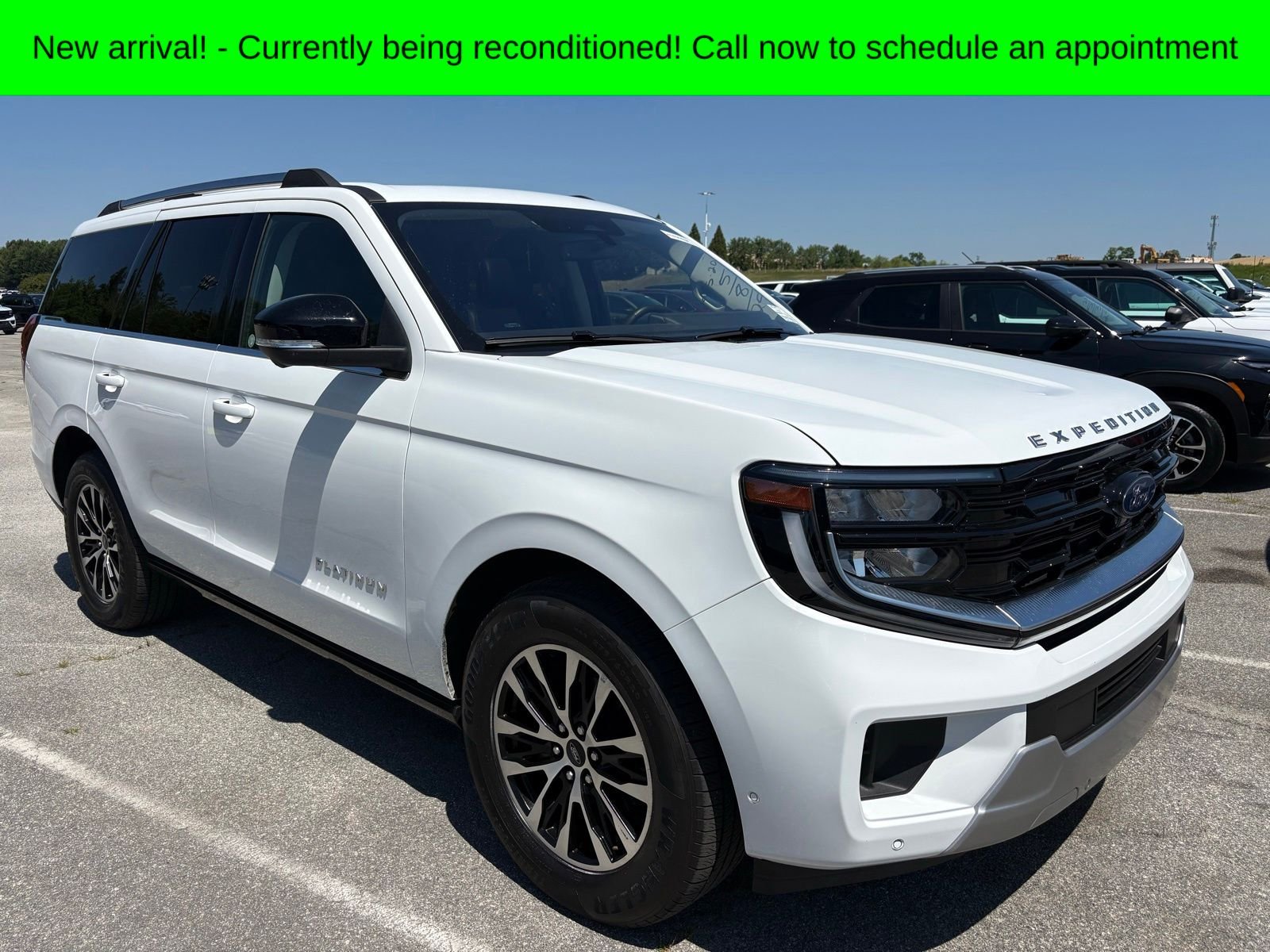 2025 Ford Expedition Platinum 4x4's photo