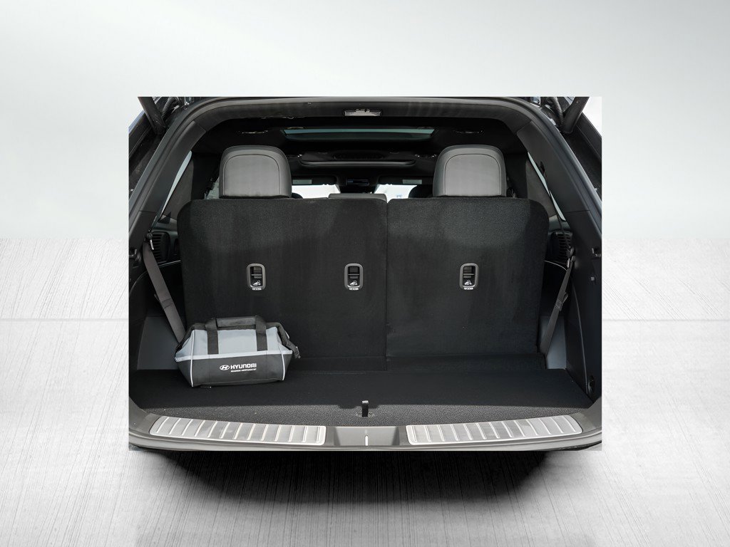 New 2026 Titan Green Hyundai Calligraphy AWD image 8