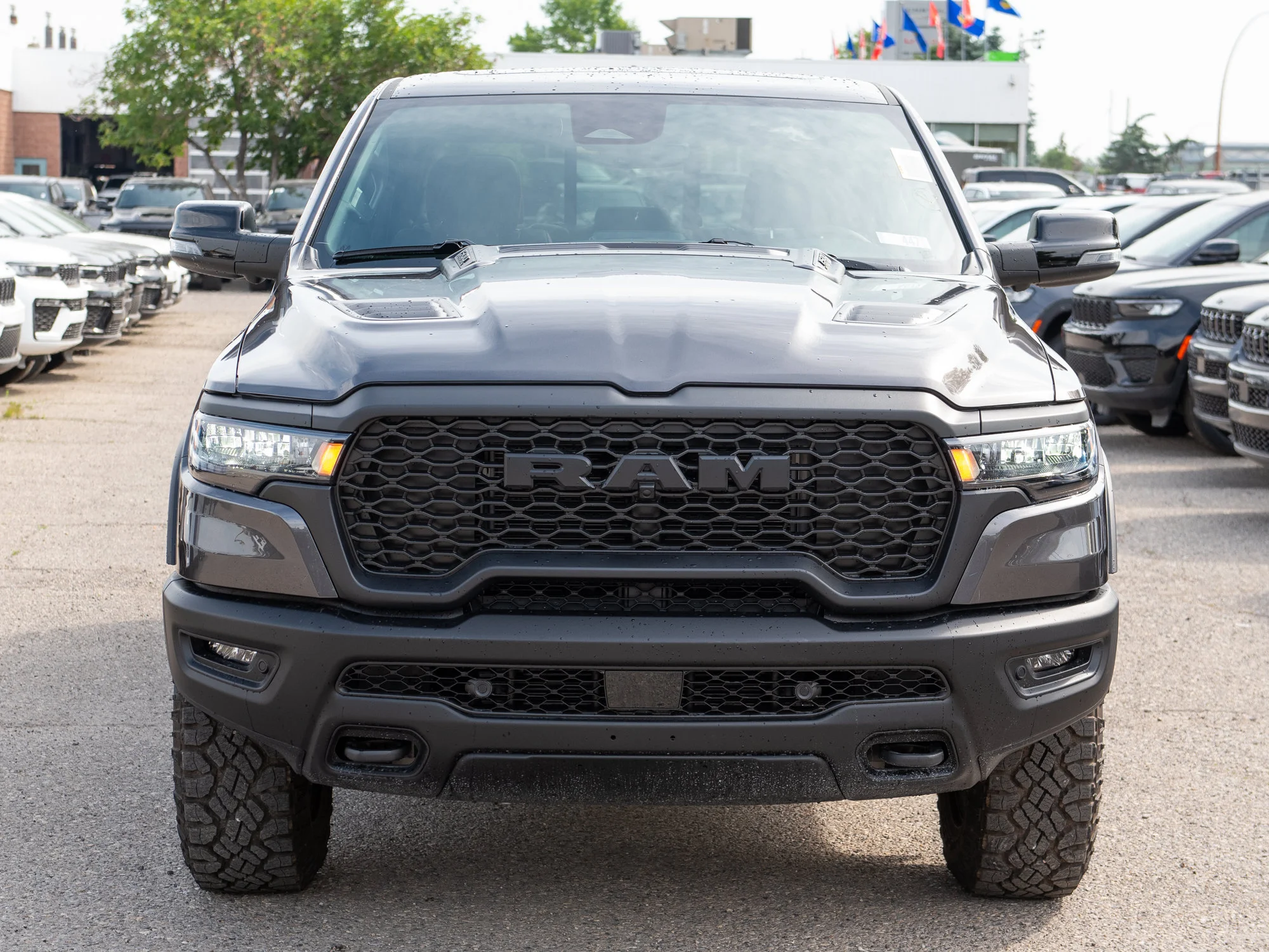 New 2026 Grey RAM Rebel* image 9