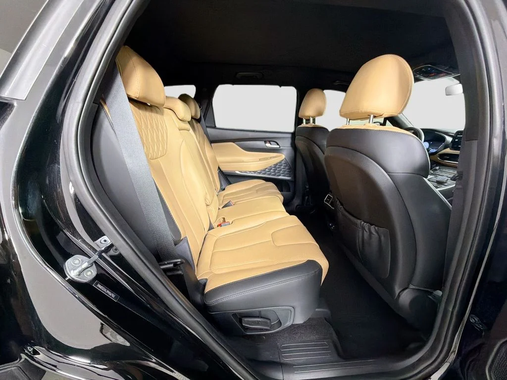 Used 2023 Black Hyundai Calligraphy image 30