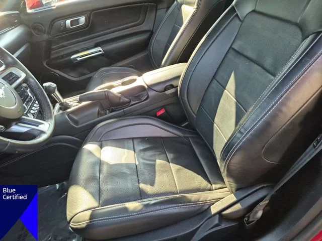 Used 2021 Red Ford GT Premium image 15