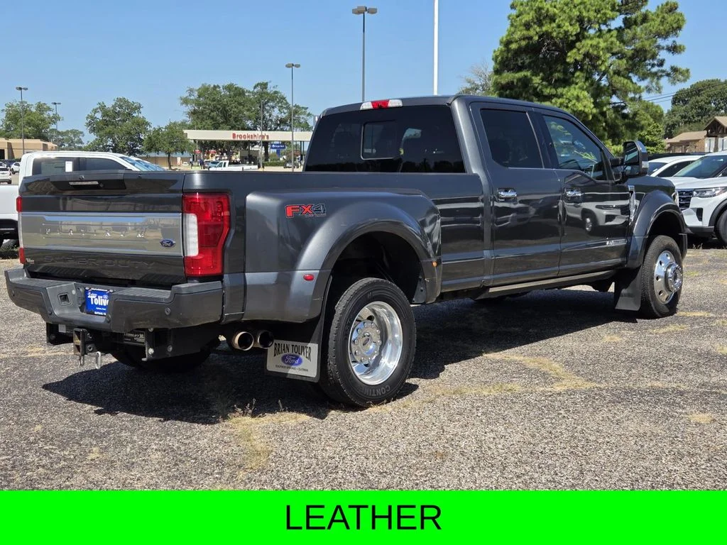 Used 2019 Magnetic Ford Platinum image 8