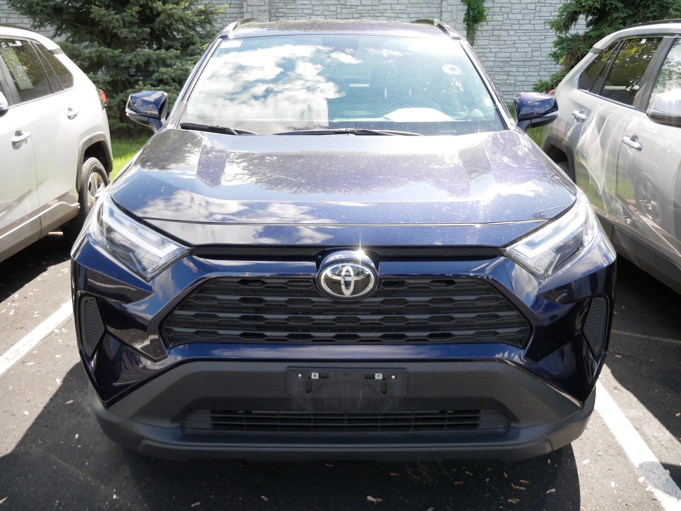 Used 2025 Toyota RAV4 XLE with VIN 2T3P1RFVXSW556169 for sale in Brooklyn Center, Minnesota