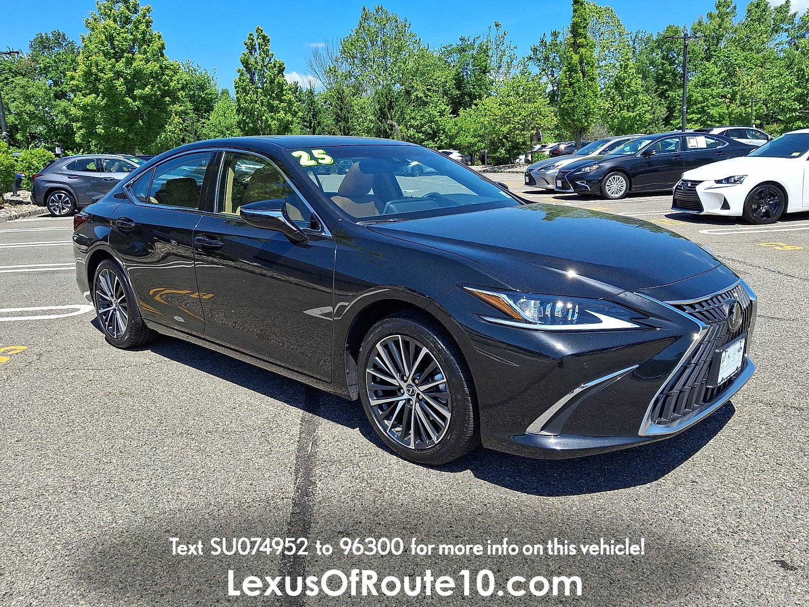 2025 Lexus ES 300h 300h's photo