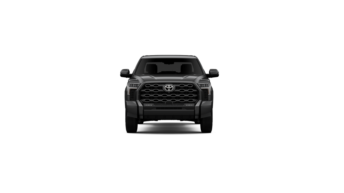 New 2026 Magnetic Gray Metallic Toyota Platinum image 39