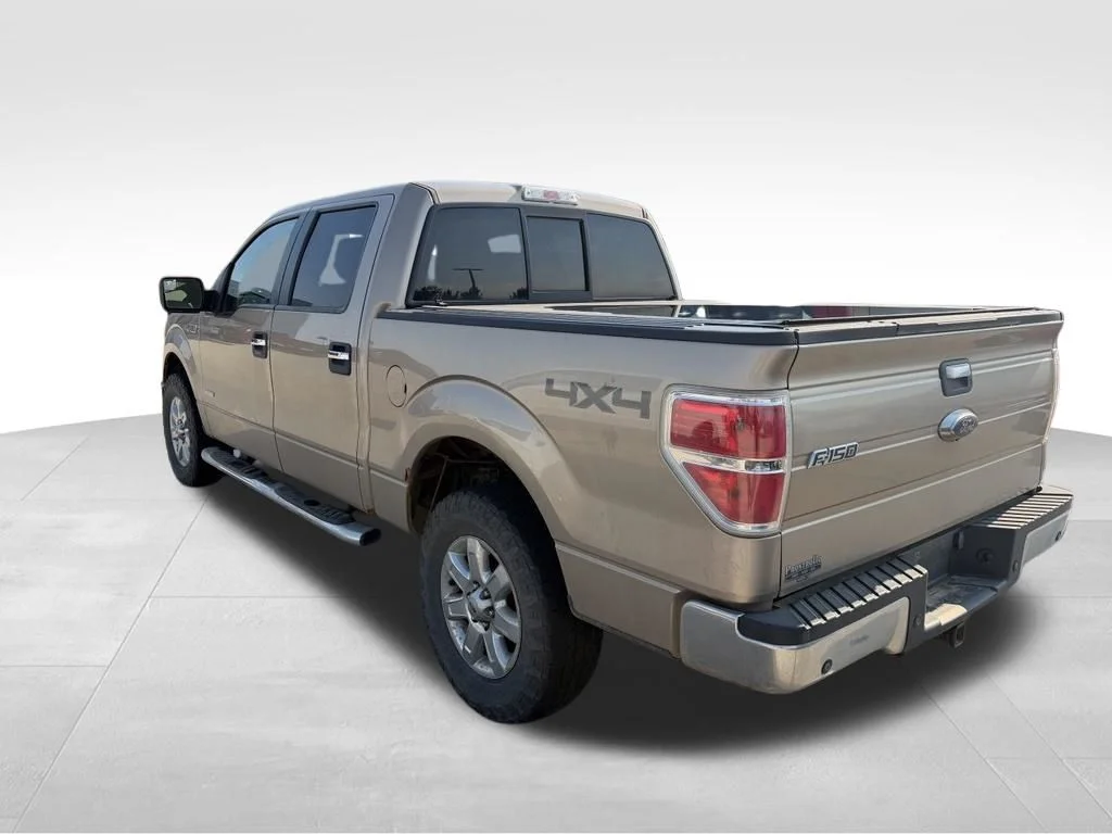 Used 2013 Gold Ford XLT image 4