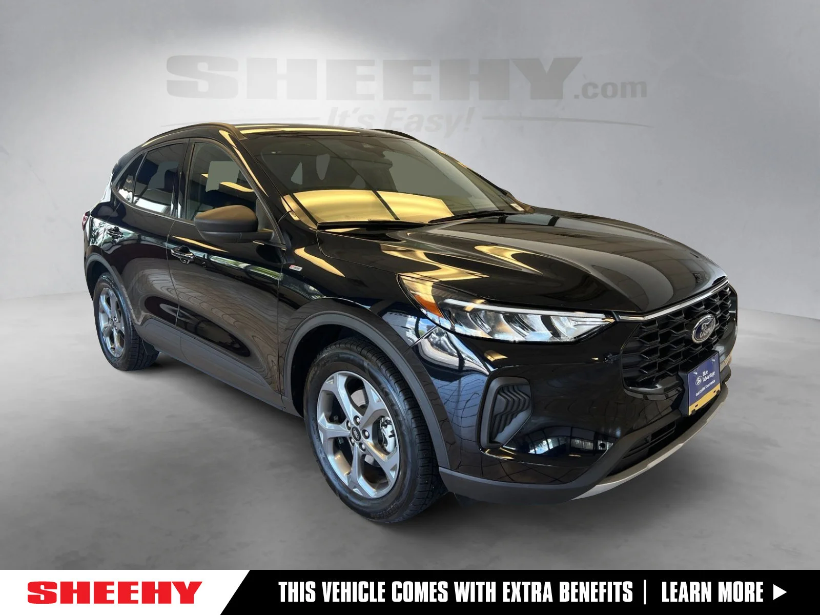 Certified Used 2025 Agate Black Metallic Ford ST-Line image 1