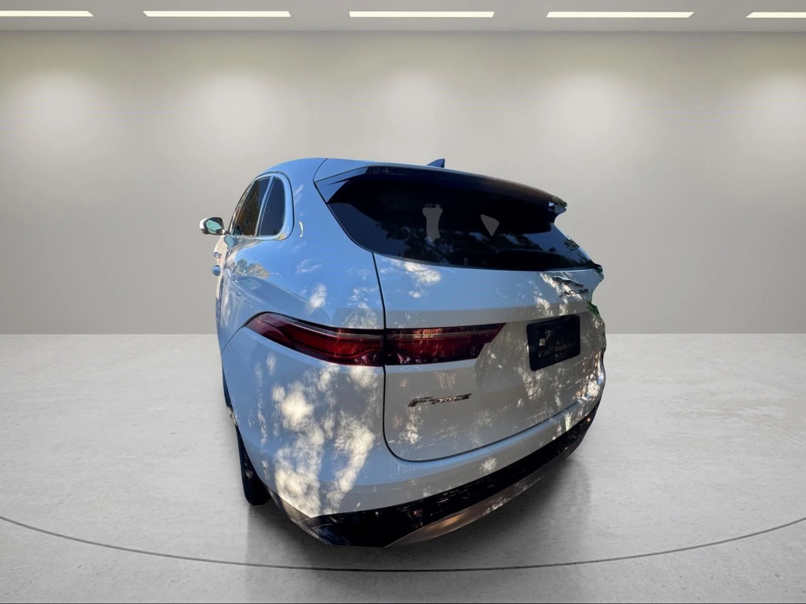 Used 2021 Fuji White Jaguar S image 12