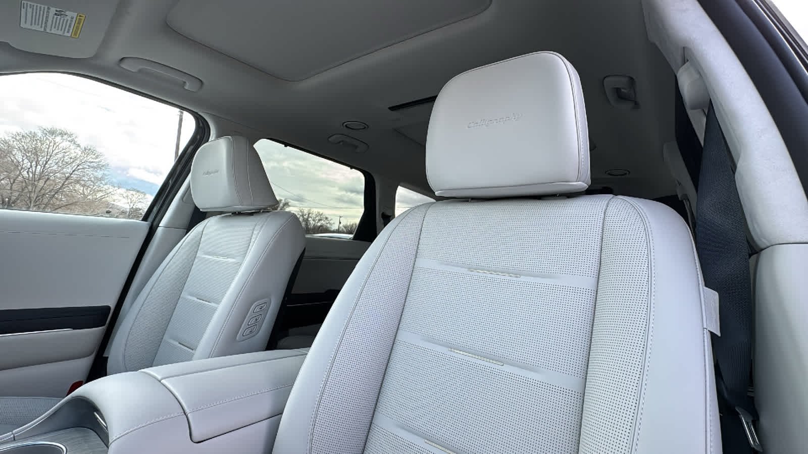 New 2026 Ecotronic Gray Pearl Hyundai Calligraphy AWD image 11