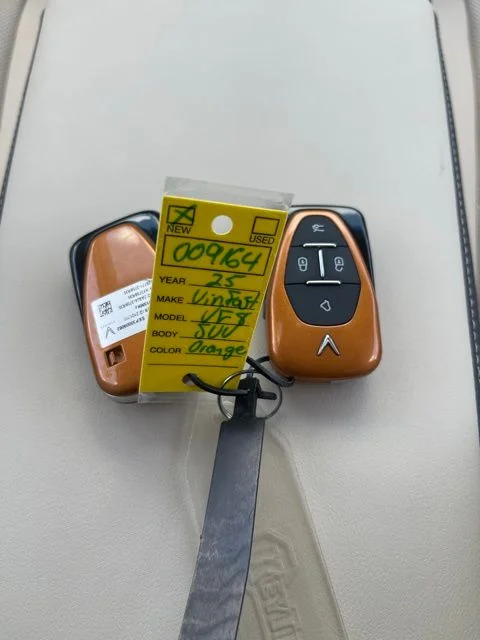 New 2025 Orange VinFast Plus image 27
