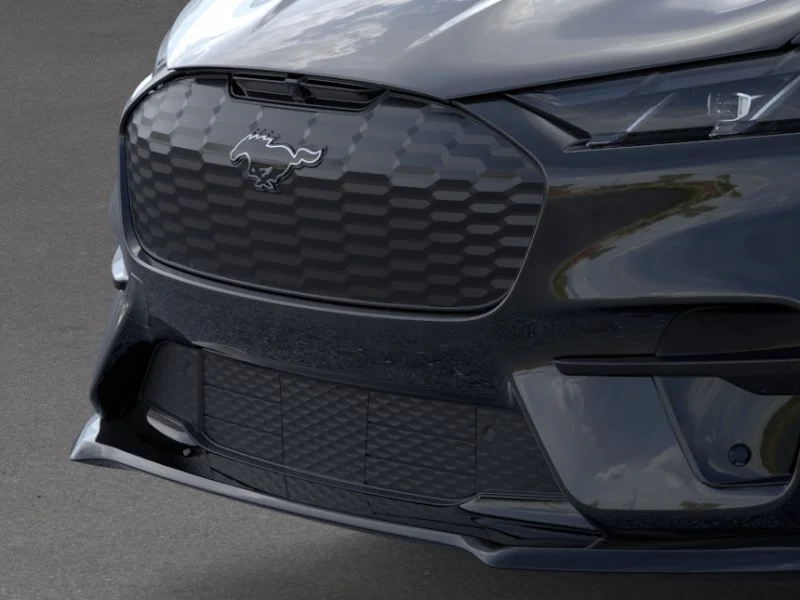 New 2026 Shadow Black Ford Premium image 17