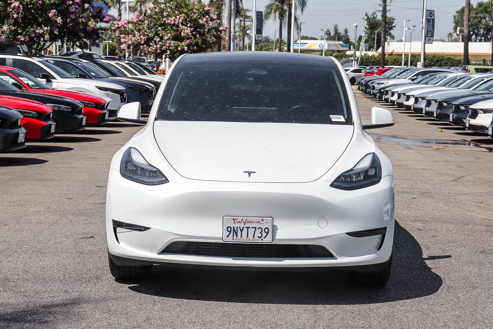 Used 2024 Tesla Model Y Long Range with VIN 7SAYGDED7RF170083 for sale in West Covina, CA