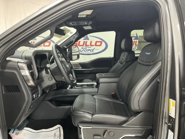 New 2026 Carbonized Gray Metallic Ford Platinum image 13