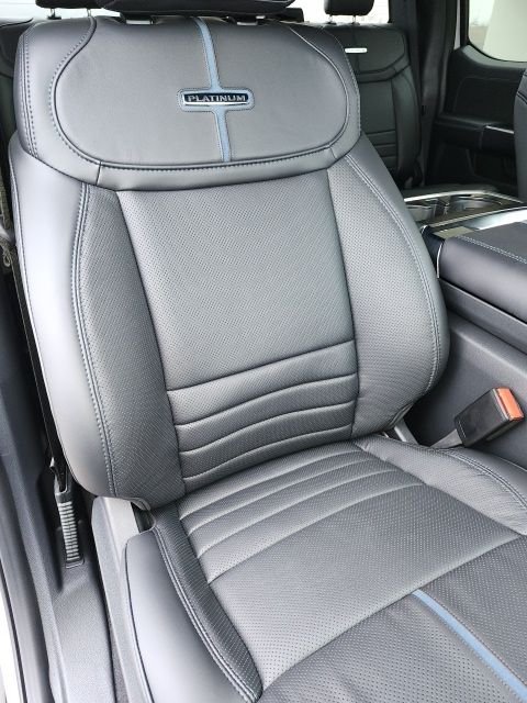 2025 Ford F-150 Platinum - Photo 66