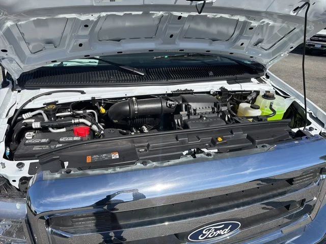 New 2026 White Ford Base image 11
