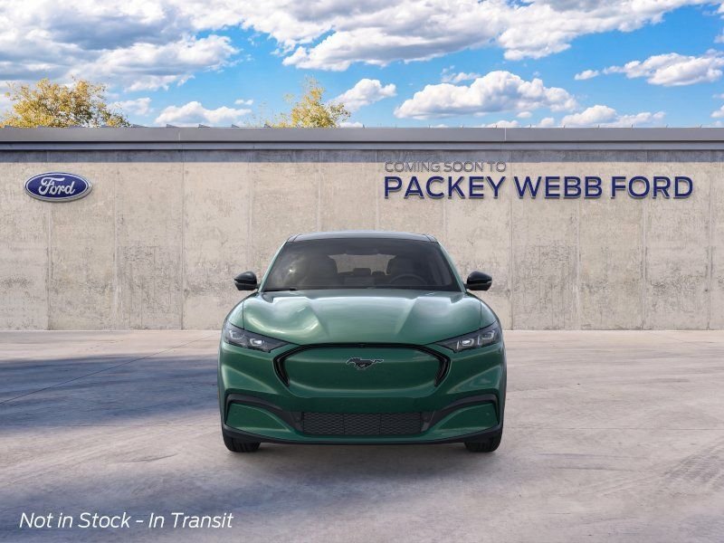 New 2026 Eruption Green Metallic Ford Premium image 7