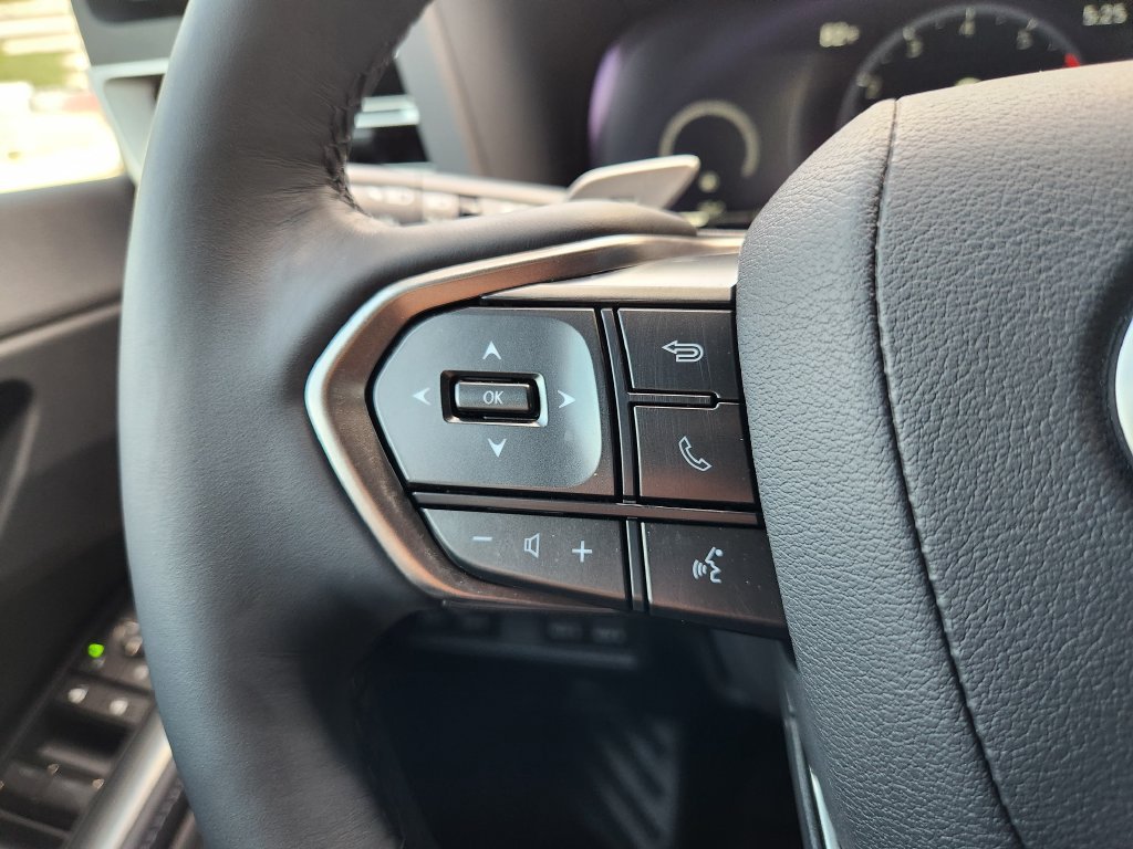 Certified Used 2025 Incognito Lexus 550 Overtrail image 28