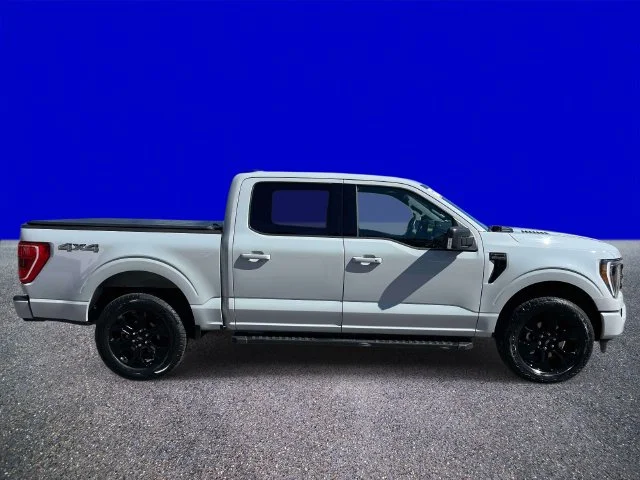 Used 2023 Avalanche Ford XLT image 2