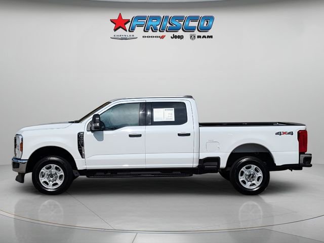Used 2025 White Ford XLT image 4