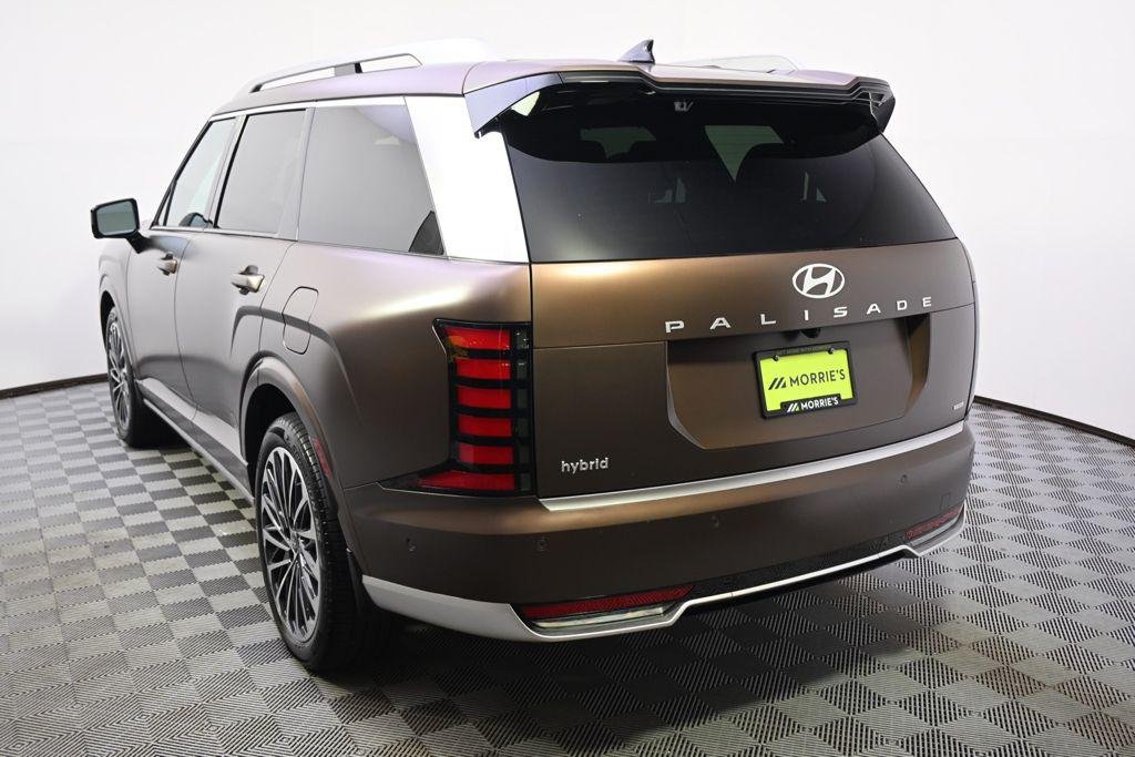 New 2026 Earthy Brass Matte Hyundai Calligraphy image 4