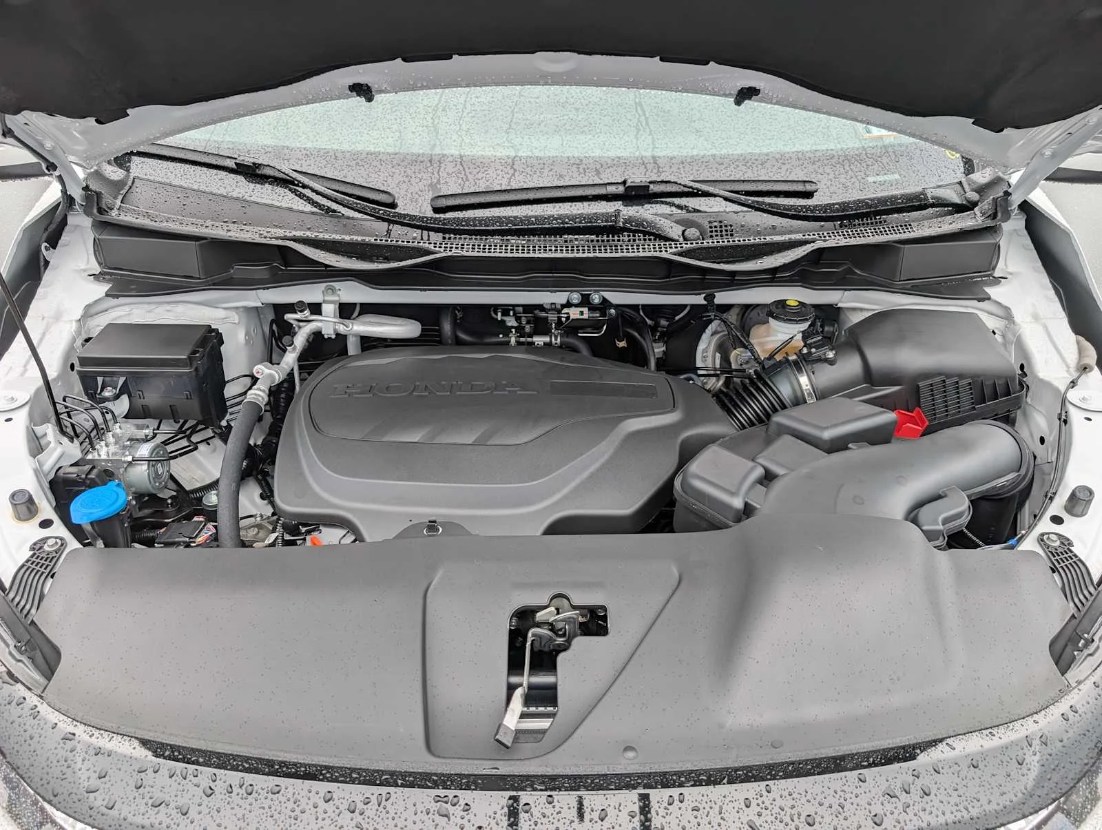New 2026 Platinum White Pearl Honda EX-L image 11