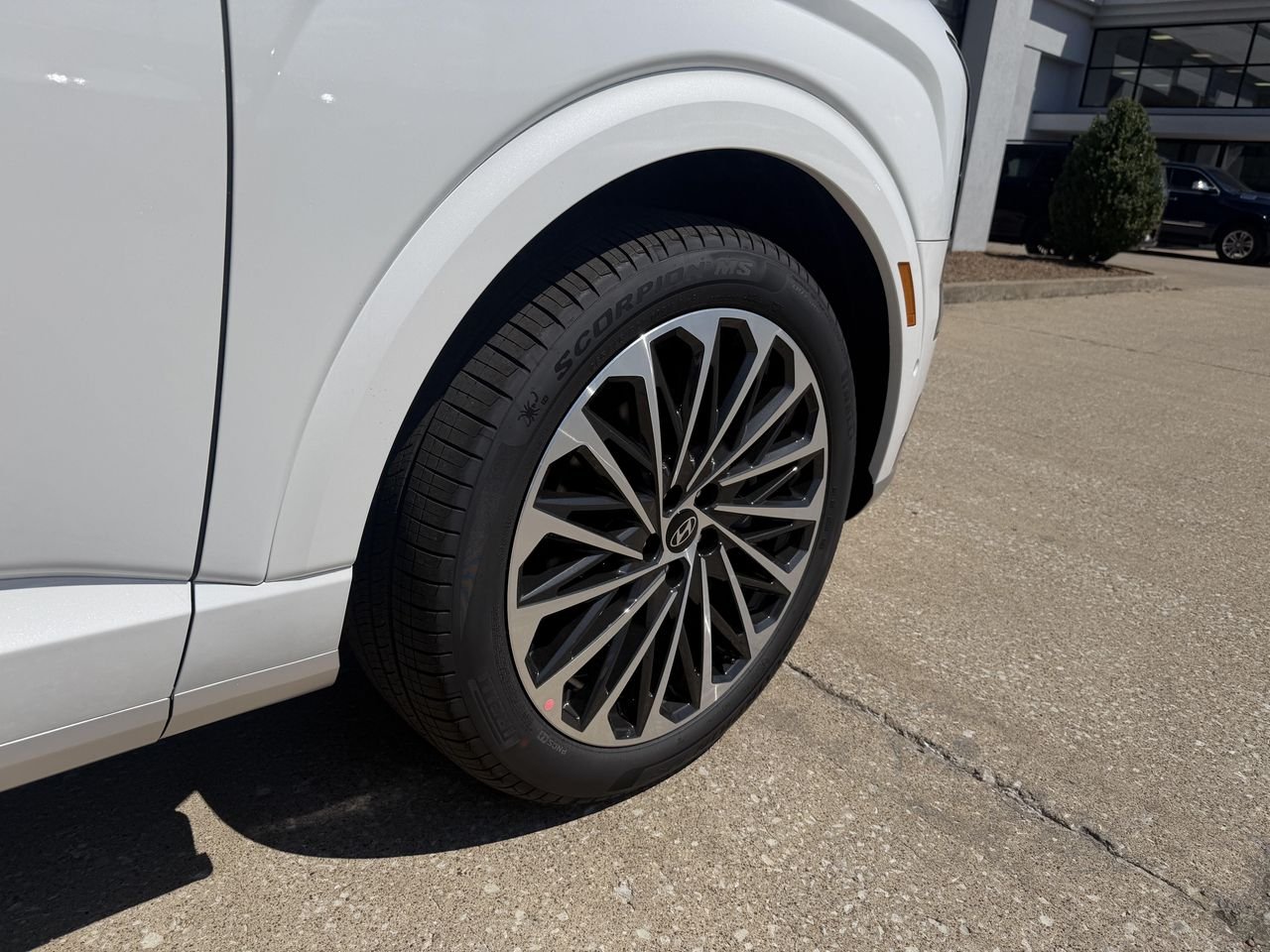 New 2026 Creamy White Pearl Hyundai Calligraphy image 21