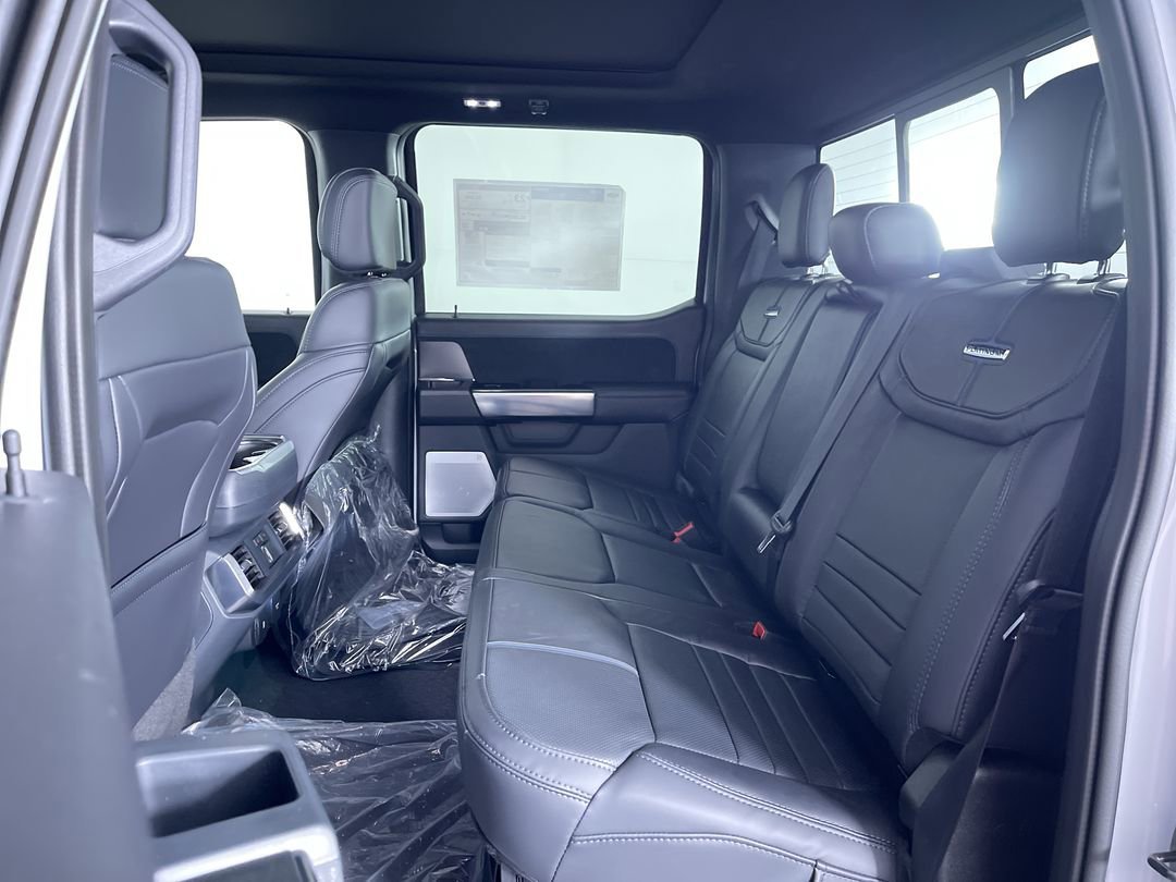 2025 Ford F-150 Platinum - Photo 23