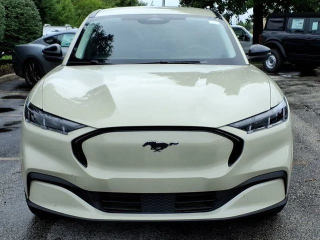 New 2026 Beige Ford Premium image 20