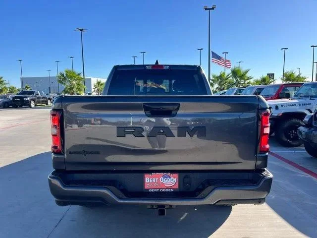 New 2025 Granite Crystal Metallic Clear-Coat Exterior Paint RAM LONE STAR image 6